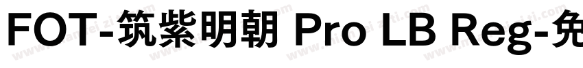 FOT-筑紫明朝 Pro LB Reg字体转换